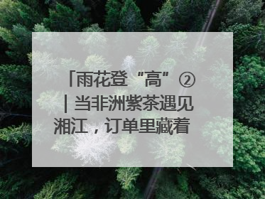 雨花登“高”②｜当非洲紫茶遇见湘江，订单里藏着共富密码