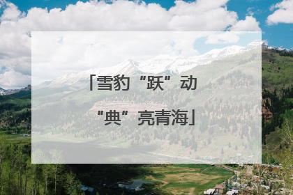 雪豹“跃”动 “典”亮青海