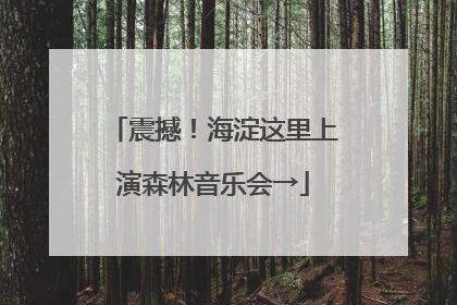 震撼！海淀这里上演森林音乐会→