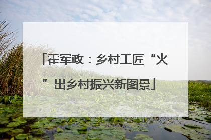 霍军政：乡村工匠“火”出乡村振兴新图景
