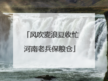 风吹麦浪夏收忙 河南老兵保粮仓