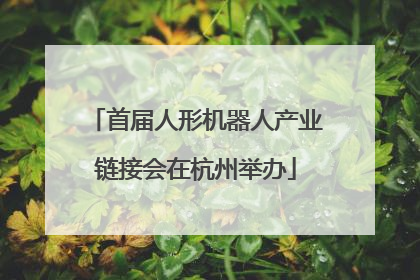首届人形机器人产业链接会在杭州举办