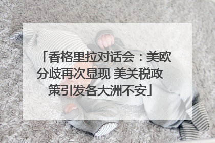 香格里拉对话会：美欧分歧再次显现 美关税政策引发各大洲不安