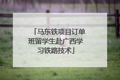 马东铁项目订单班留学生赴广西学习铁路技术