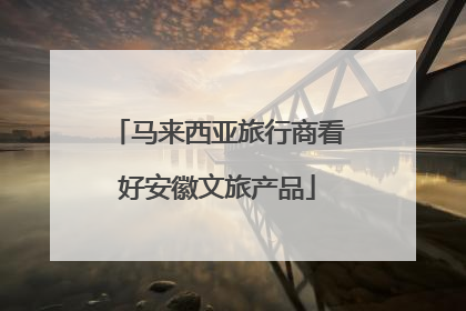 马来西亚旅行商看好安徽文旅产品