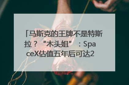 马斯克的王牌不是特斯拉？“木头姐”：SpaceX估值五年后可达2.5万亿美元！