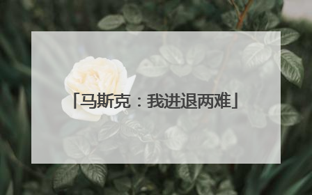 马斯克：我进退两难