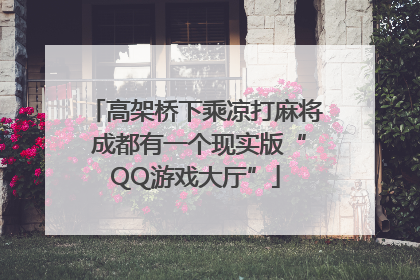 高架桥下乘凉打麻将 成都有一个现实版“QQ游戏大厅”