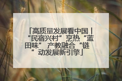 高质量发展看中国丨“民宿兴村”烹热“蓝田味” 产教融合“链”动发展新引擎