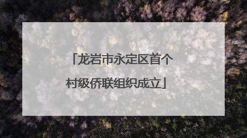 龙岩市永定区首个村级侨联组织成立
