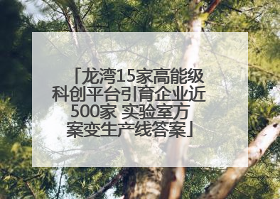龙湾15家高能级科创平台引育企业近500家 实验室方案变生产线答案