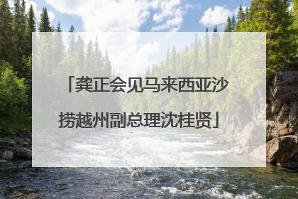 龚正会见马来西亚沙捞越州副总理沈桂贤
