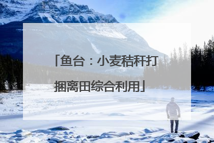 鱼台：小麦秸秆打捆离田综合利用