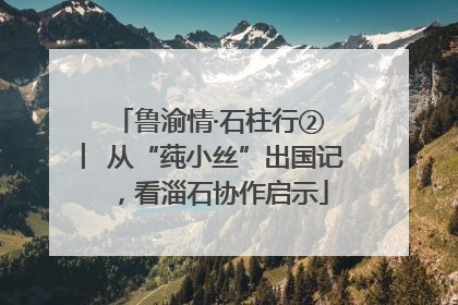 鲁渝情·石柱行② ︳从“莼小丝”出国记，看淄石协作启示