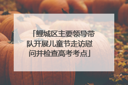 鲤城区主要领导带队开展儿童节走访慰问并检查高考考点