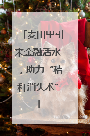 麦田里引来金融活水，助力“秸秆消失术”
