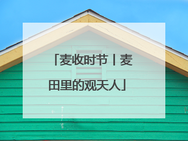 麦收时节丨麦田里的观天人