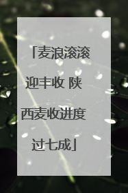麦浪滚滚迎丰收 陕西麦收进度过七成