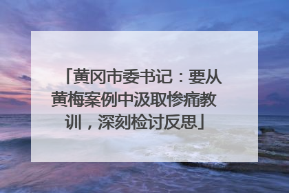 黄冈市委书记：要从黄梅案例中汲取惨痛教训，深刻检讨反思