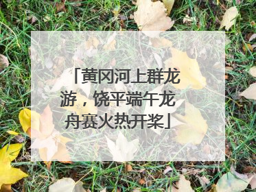 黄冈河上群龙游，饶平端午龙舟赛火热开桨