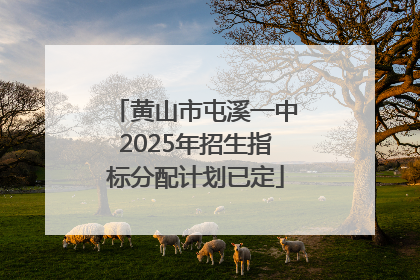 黄山市屯溪一中2025年招生指标分配计划已定