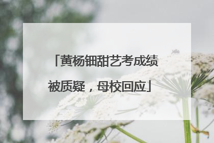 黄杨钿甜艺考成绩被质疑，母校回应