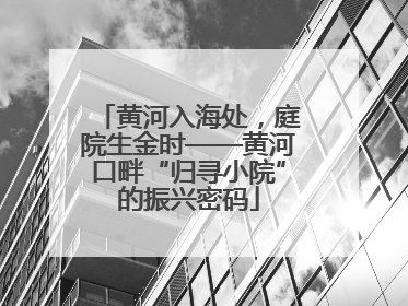 黄河入海处，庭院生金时——黄河口畔“归寻小院”的振兴密码