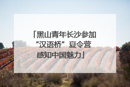 黑山青年长沙参加“汉语桥”夏令营 感知中国魅力