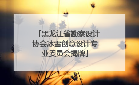 黑龙江省勘察设计协会冰雪创意设计专业委员会揭牌