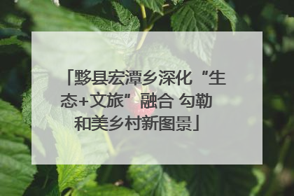 黟县宏潭乡深化“生态+文旅”融合 勾勒和美乡村新图景