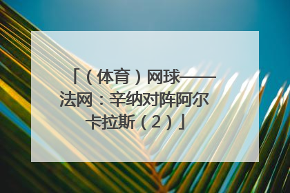 （体育）网球——法网：辛纳对阵阿尔卡拉斯（2）