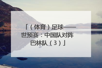 （体育）足球——世预赛：中国队对阵巴林队（3）