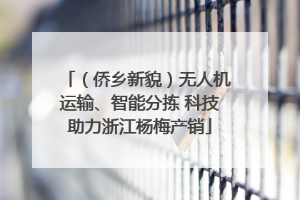 （侨乡新貌）无人机运输、智能分拣 科技助力浙江杨梅产销