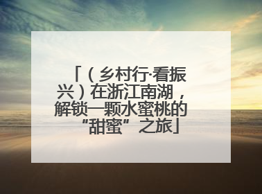 （乡村行·看振兴）在浙江南湖，解锁一颗水蜜桃的“甜蜜”之旅
