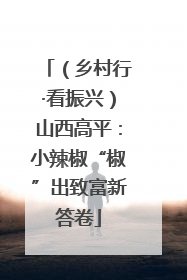 （乡村行·看振兴）山西高平：小辣椒“椒”出致富新答卷