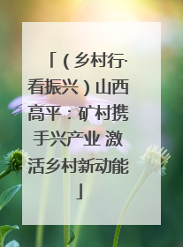 （乡村行·看振兴）山西高平：矿村携手兴产业 激活乡村新动能