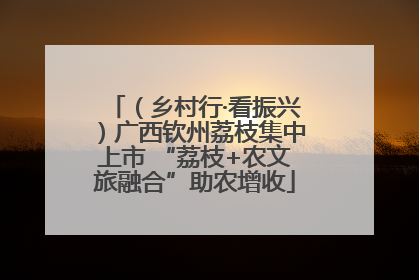 （乡村行·看振兴）广西钦州荔枝集中上市 “荔枝+农文旅融合”助农增收