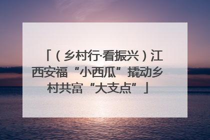 （乡村行·看振兴）江西安福“小西瓜”撬动乡村共富“大支点”