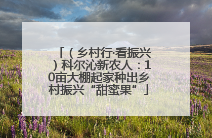 （乡村行·看振兴）科尔沁新农人：10亩大棚起家种出乡村振兴“甜蜜果”