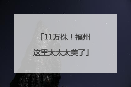 11万株！福州这里太太太美了