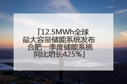 12.5MWh全球最大容量储能系统发布 合肥一季度储能系统同比增长425%