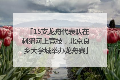 15支龙舟代表队在刺猬河上竞技，北京良乡大学城举办龙舟赛