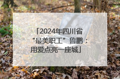 2024年四川省“最美职工”鲁鹏：用爱点亮一座城