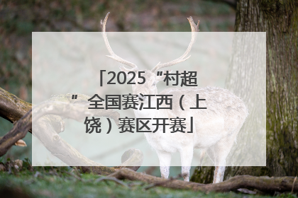 2025“村超”全国赛江西（上饶）赛区开赛
