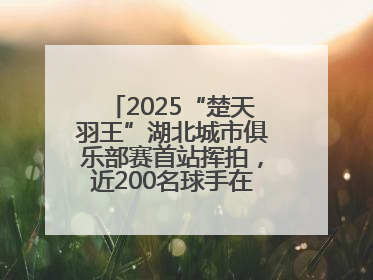 2025“楚天羽王”湖北城市俱乐部赛首站挥拍，近200名球手在黄石同场竞技