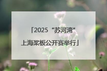 2025“苏河湾”上海桨板公开赛举行