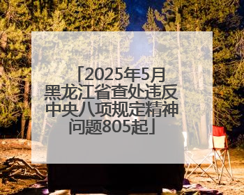 2025年5月黑龙江省查处违反中央八项规定精神问题805起