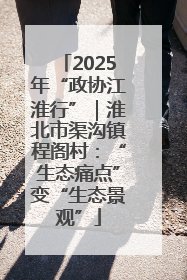 2025年“政协江淮行”｜淮北市渠沟镇程阁村：“生态痛点”变“生态景观”