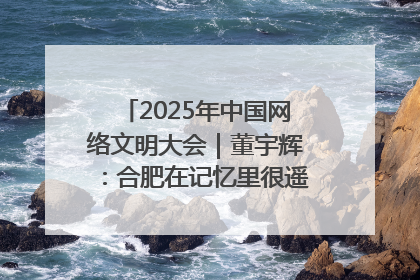 2025年中国网络文明大会｜董宇辉：合肥在记忆里很遥远也很亲切