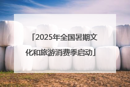 2025年全国暑期文化和旅游消费季启动